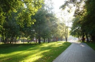 Парк «Северное Тушино»: отдых и развлечения на 54 гектарах в Москве