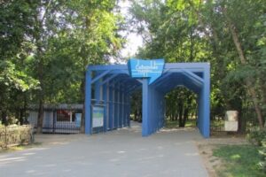 Парк «Северное Тушино» — фото 6