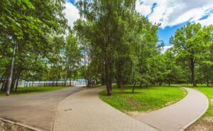 Парк «Северные Дубки» — зелёный уголок с вековыми дубами в Москве