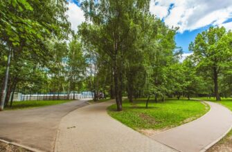 Парк «Северные Дубки» — зелёный уголок с вековыми дубами в Москве