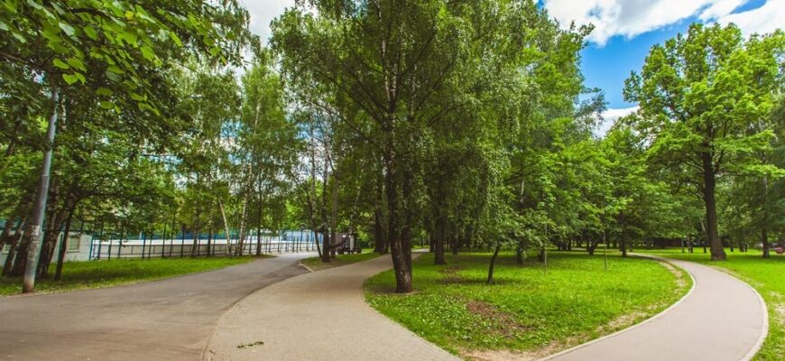 Парк «Северные Дубки»