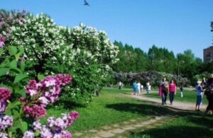 Парк «Сиреневый сад» — фото 8