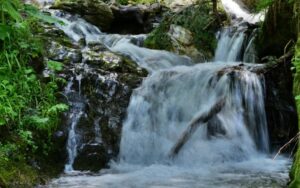 Парк водопадов «Менделиха» — природное чудо Сочи
