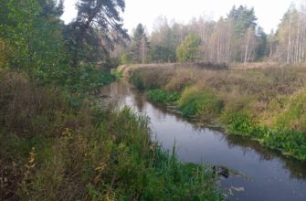 Лесная сказка в Подосинках