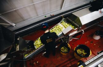 Производство крафтового сидра в Москве (18+)