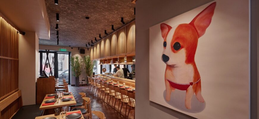 Шиба / Shiba