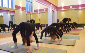Школа гимнастики GymBalance — фото 5
