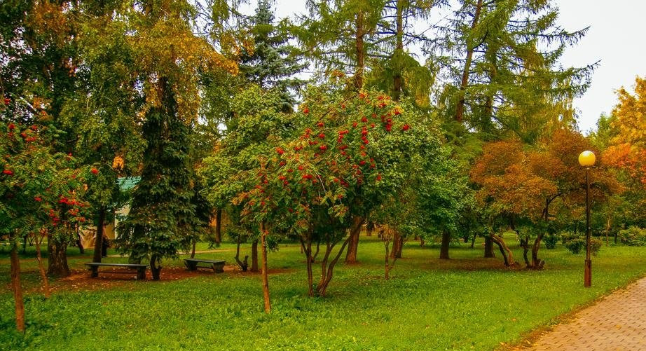 Сквер Николая Ершова (Чеховский сквер)