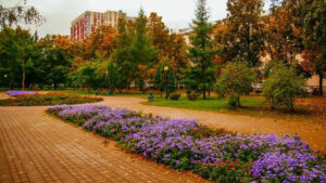 Сквер Николая Ершова (Чеховский сквер) — фото 3