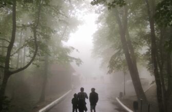 Многоликий Сочи: главное за день!