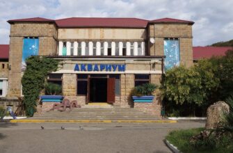 Сочинский «Аквариум и Морской зоопарк»: удивительный мир подводных обитателей в Сочи