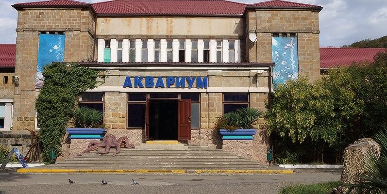 Сочинский «Аквариум и Морской зоопарк»