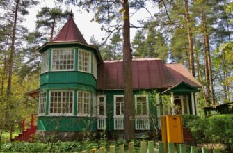 Большая прогулка по Комарово