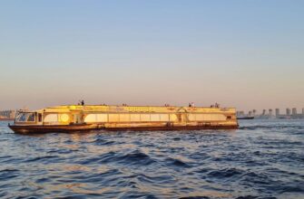 Большой ночной круиз: разводные мосты и северные острова Петербурга