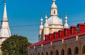 Дворы и парадные Васильевского острова