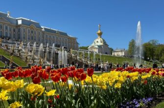 Из Петербурга в Петергоф: Большой дворец и Нижний парк