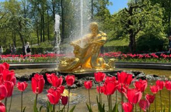 В Нижний парк Петергофа на метеоре — из Петербурга