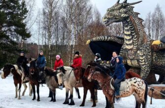 Конное путешествие в сердце Выборга — из Петербурга