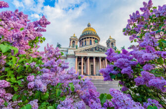 На автобусе по Петербургу + посещение Исаакиевского собора