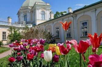 Ораниенбаум: грандиозно и роскошно