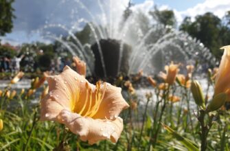 Петергоф и Кронштадт на автомобильной экскурсии
