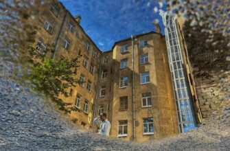 Феноменология, поэтика и риторика архитектуры Петроградской стороны