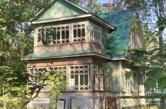 Лесная сторона Комарово: от дач до «будки» Ахматовой