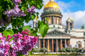 Семейная прогулка по Исаакиевскому собору с иммерсивным аудиогидом