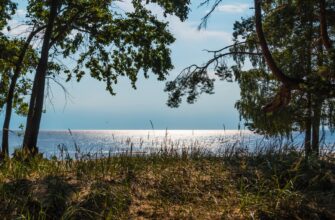 «Я уеду в Комарово»: тур по городкам Финского залива с проживанием в отеле 4*