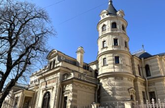 Скандалы, интриги, расследования Петербурга