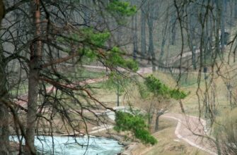 Терренкур в музее-заповеднике «Царицыно»: маршрут здоровья и красоты