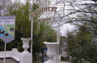 Терренкуры в Сочи: Прогулки для здоровья и наслаждения