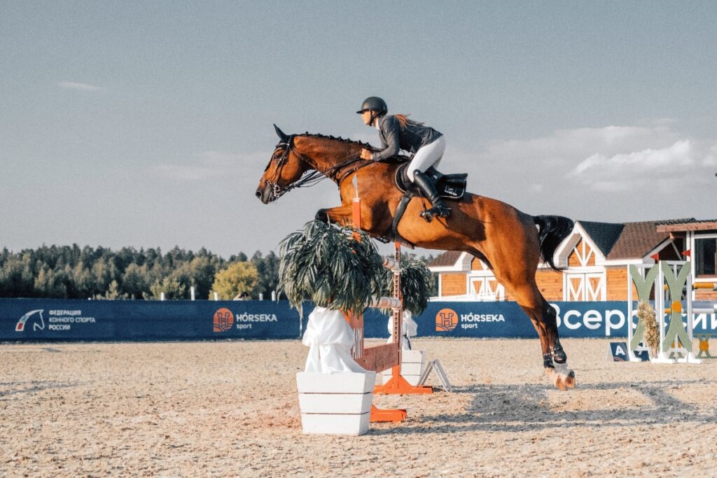 Территория отдыха и спорта Horseka Resort