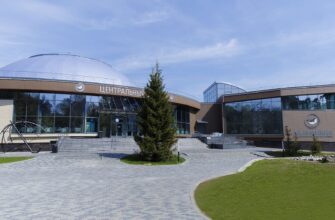 Центр океанографии и морской биологии «Дельфиния» в Новосибирске: погружение в мир морских обитателей