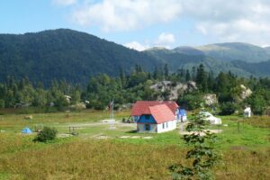 Тур приют Фишт: Уют на высоте в Сочи