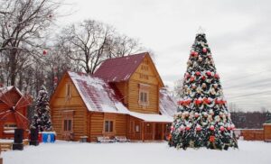 Усадьба Деда Мороза в Кузьминках — фото 5