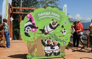 Веревочный комплекс «ПандаПарк» в Сочи: активный отдых для всей семьи