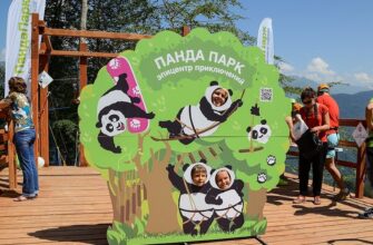 Веревочный комплекс «ПандаПарк» в Сочи: активный отдых для всей семьи