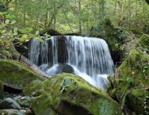 Водопад «Водолей» — природное чудо Сочи в сердце леса