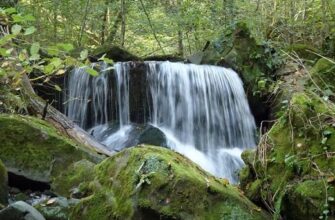 Водопад «Водолей» — природное чудо Сочи в сердце леса