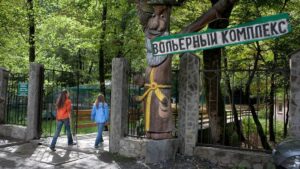 Вольерный комплекс «Лаура» в Сочи: уникальный уголок дикой природы
