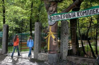 Вольерный комплекс «Лаура» в Сочи: уникальный уголок дикой природы