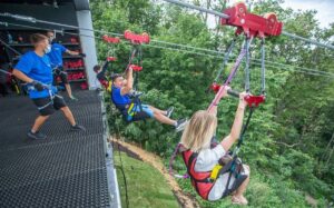 Воздушная трасса Zipline на Воробьевых горах — фото 4