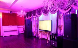 Караоке Лаунж ВС / Karaoke Lounge VS — фото 3
