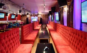 Караоке Лаунж ВС / Karaoke Lounge VS — фото 6