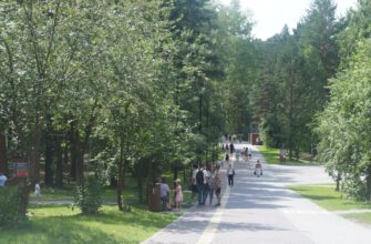 Заельцовский парк в Новосибирске: идеальное место для отдыха на природе
