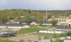 Загородный конный комплекс «Созидатель»: отдых с лошадьми под Москвой