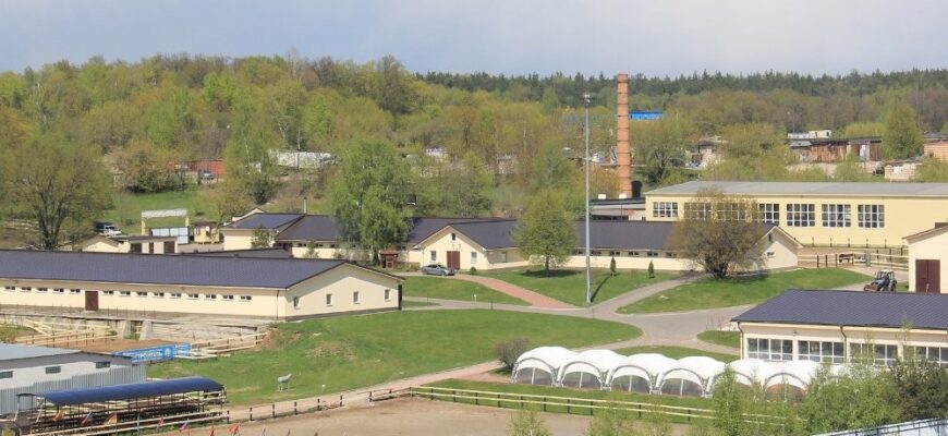 Загородный конный комплекс «Созидатель»