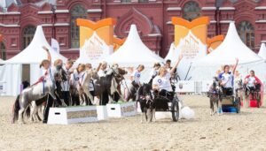 Загородный конный комплекс «Созидатель» — фото 6