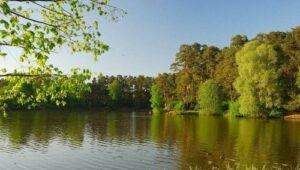 Зона отдыха «Тропарево»: зеленый уголок с водоемом и развлечениями в Москве